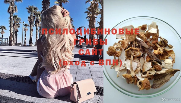 прущие грибы Костерёво