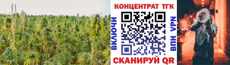 ссылка на мегу ONION  Реутов  ТГК гашишное масло 